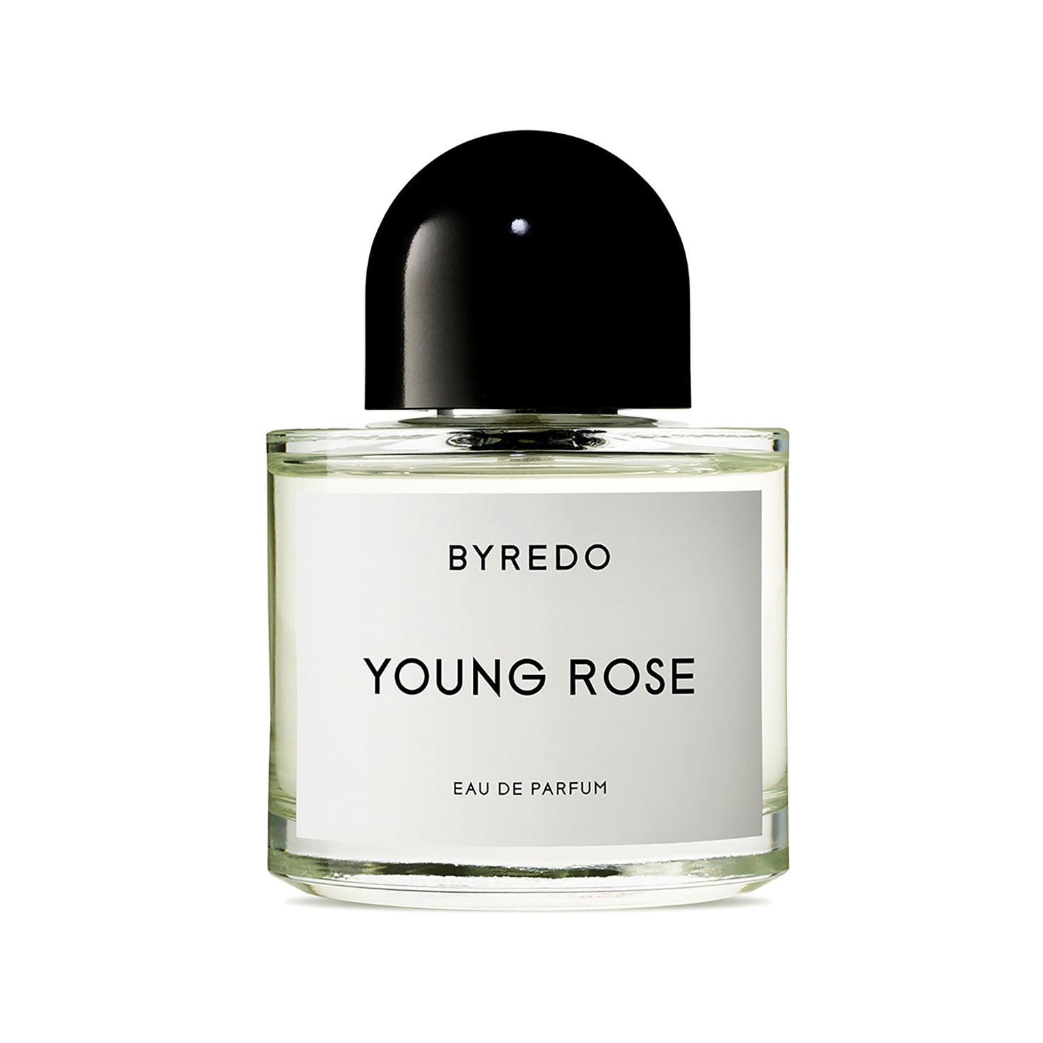 Young Rose – MAISON DES PARFUMS