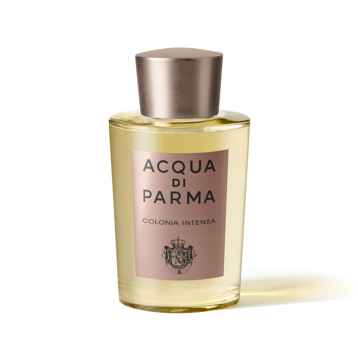 COLONIA INTENSA Eau de Cologne MAISON DES PARFUMS