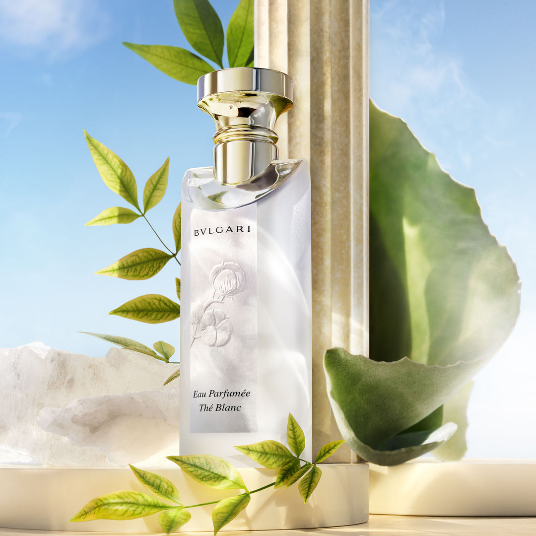 Eau Parfumee The Blanc EDT – MAISON DES PARFUMS