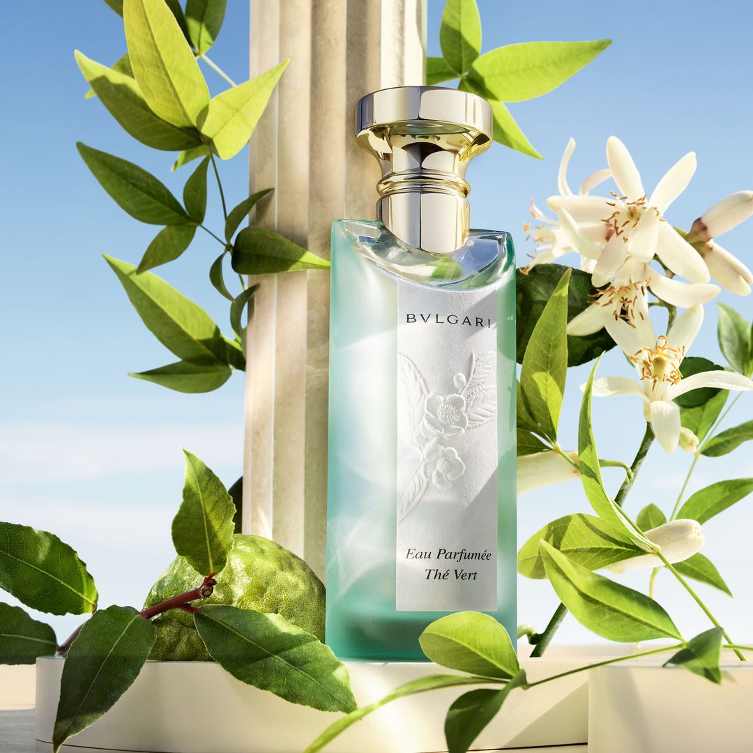 Eau Parfumee The Vert EDT – MAISON DES PARFUMS