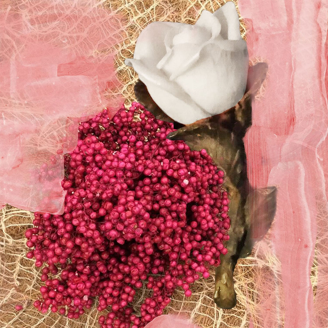 Rose Of No Man's Land – MAISON DES PARFUMS